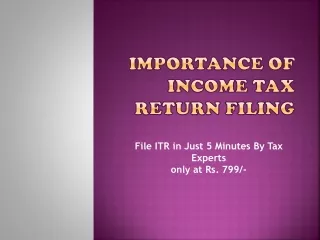 Importance of Income Tax Return Filing