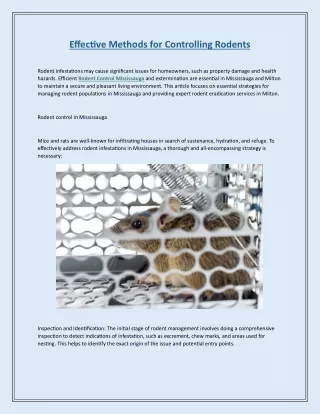 Effective Methods for Controlling Rodents