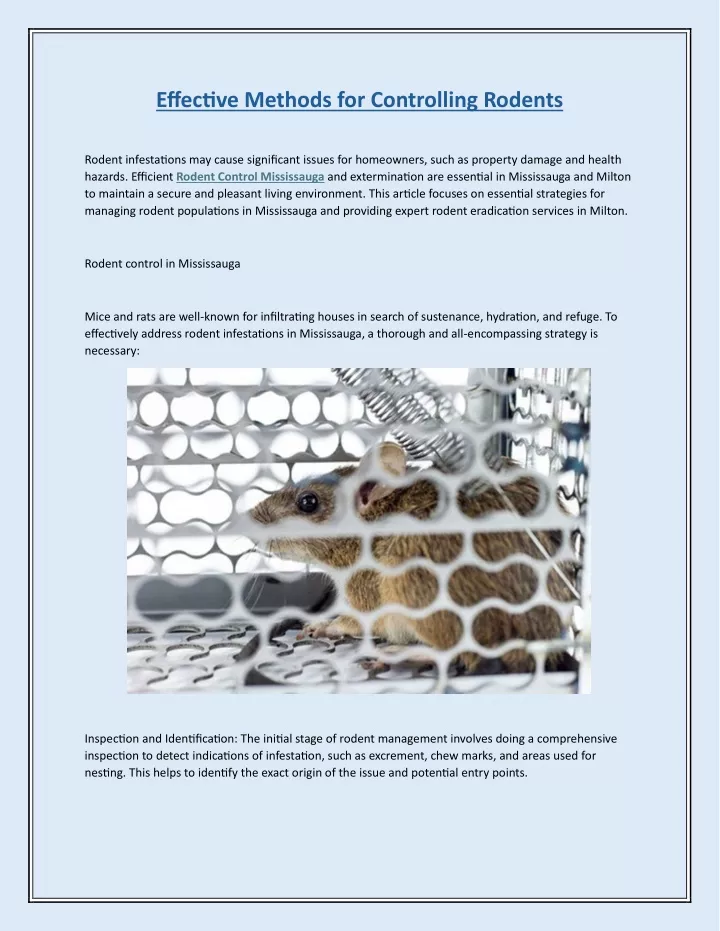 effective methods for controlling rodents