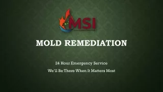 mold remediation