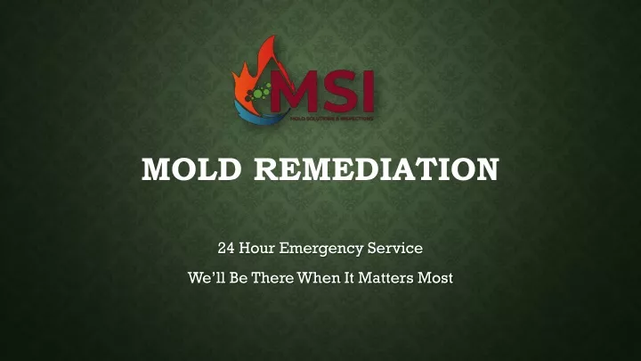 mold remediation