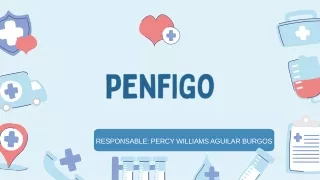 responsable percy williams aguilar burgos