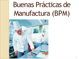 buenas pr cticas de manufactura bpm