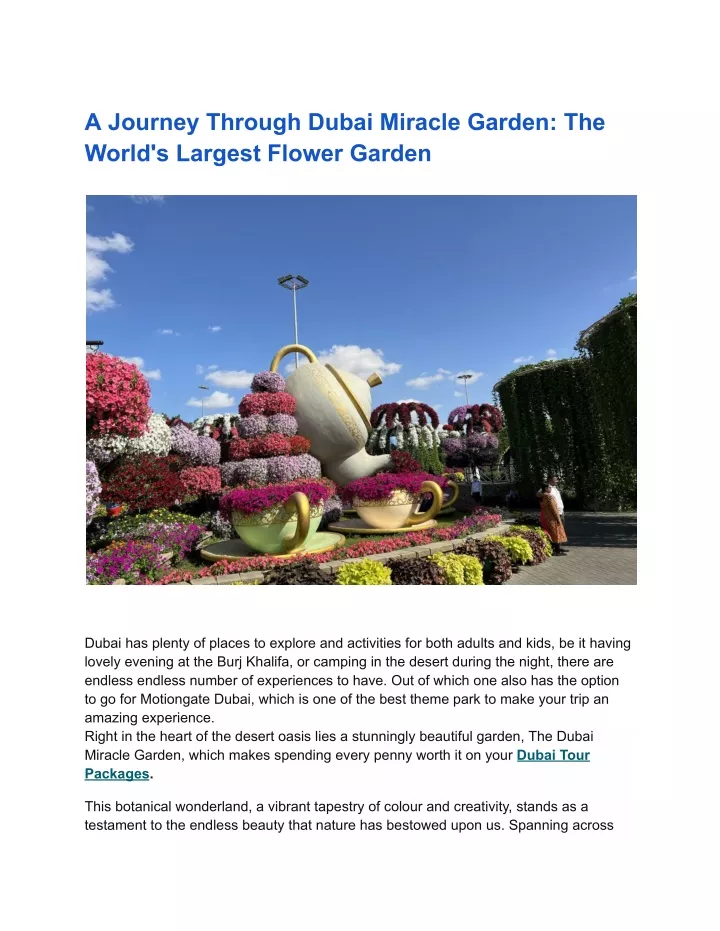 a journey through dubai miracle garden the world