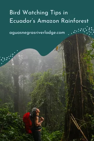 5 Essential Tips for a Successful Adventure