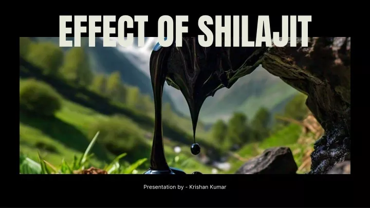 effect of shilajit