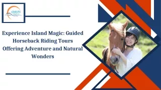 Experience Island Magic Guided Horseback Riding Tours Offering Adventure and Natural Wonders