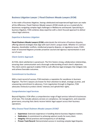 Business Litigation Lawyer