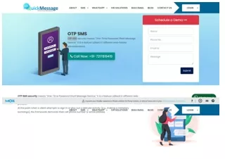 Protect Your Accounts with Our OTP SMS Service