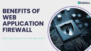 Benefits of web application firewall (1)