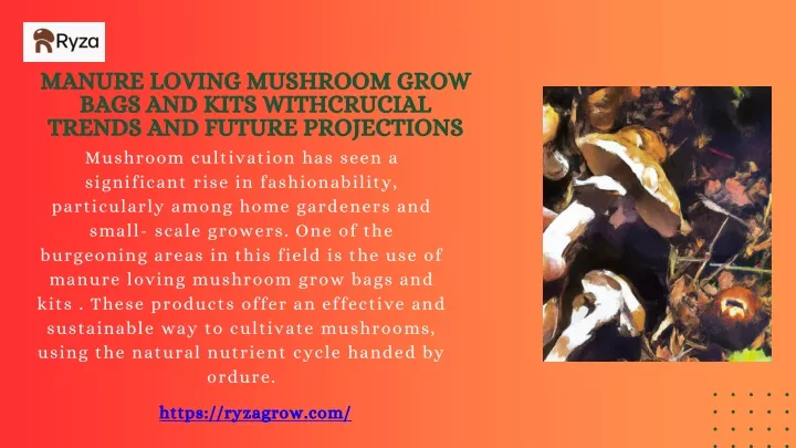 manure loving mushroom grow bags and kits