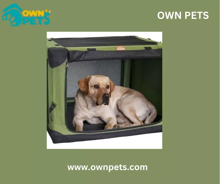 own pets