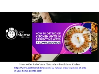 How to Get Rid of Ants Naturally – Best Mama Kitchen