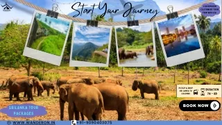 start your journey