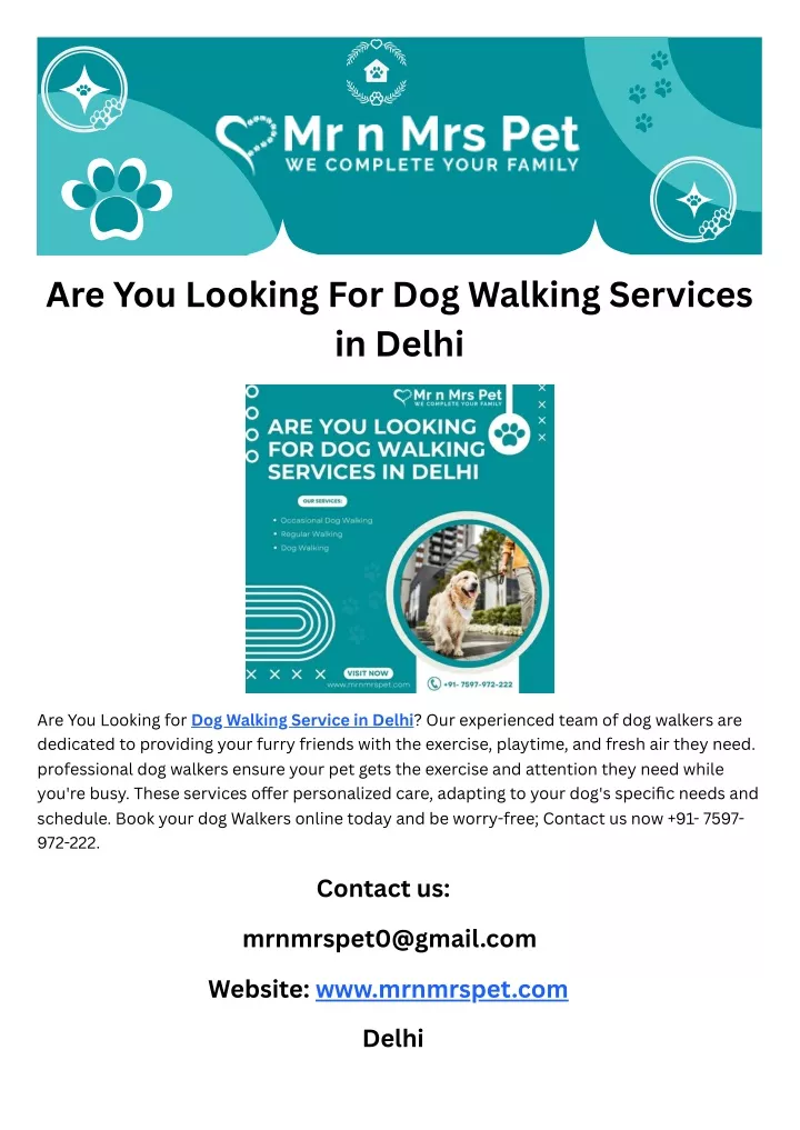 are you looking for dog walking services in delhi