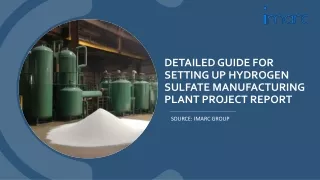 Hydrogen Sulfate Manufacturing Plant Project Report