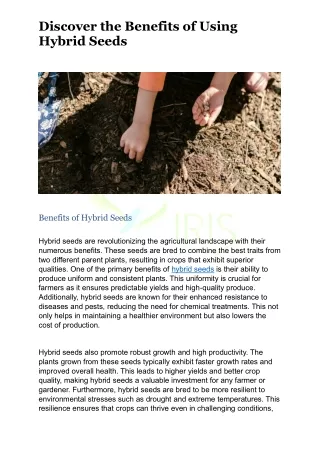 Benefits of Hybrid Seeds