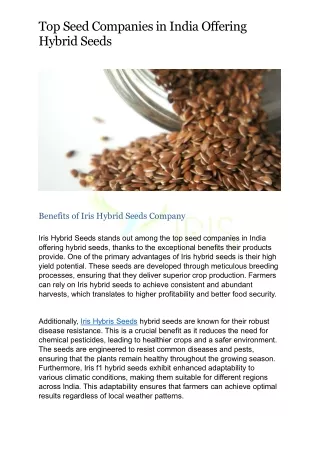 Top Seed Companies in India Offering Hybrid Seeds