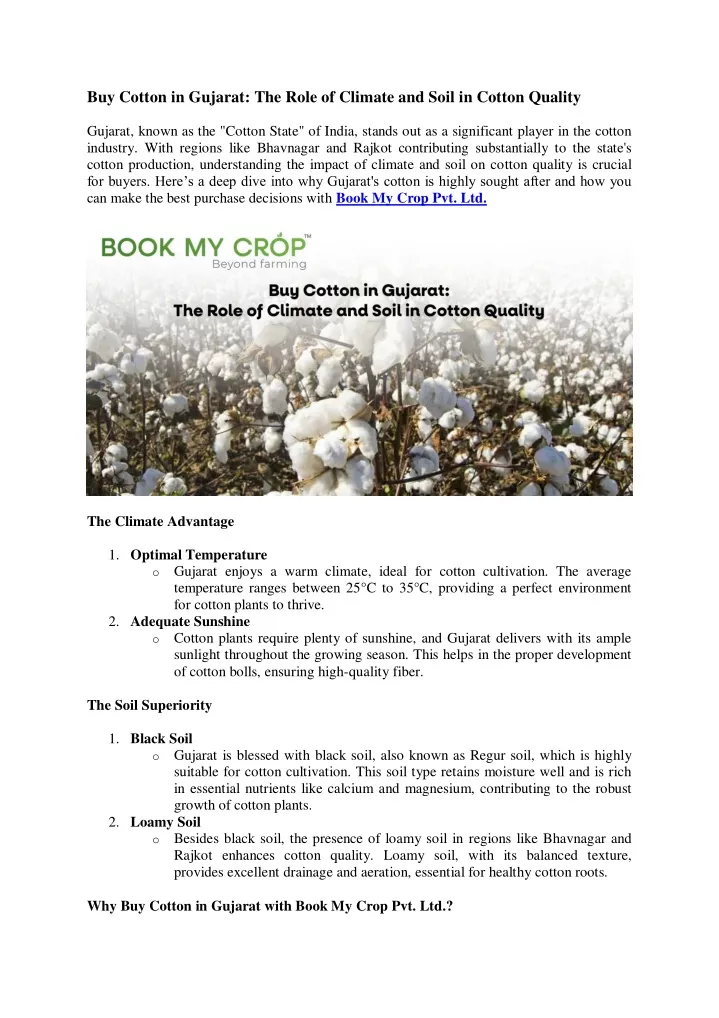 buy cotton in gujarat the role of climate