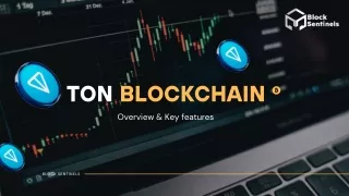 ton blockchain overview key features