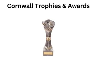 Football Trophies