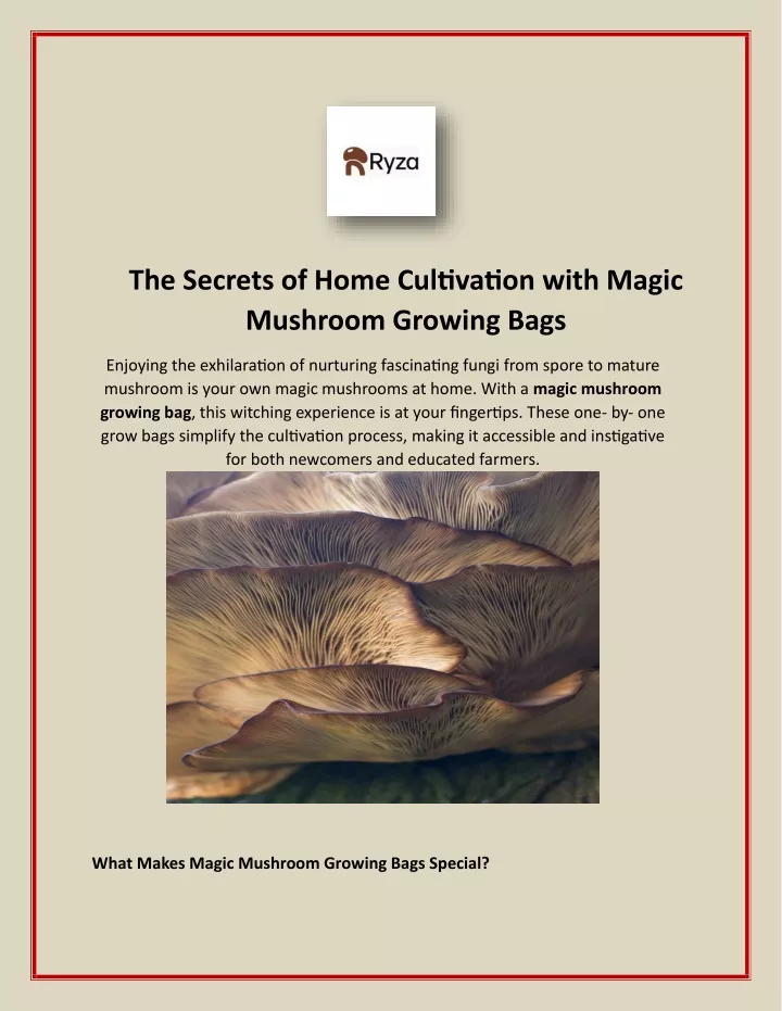 the secrets of home cultivation with magic