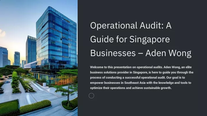 operational audit a guide for singapore