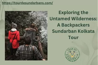 Exploring the Untamed Wilderness A Backpackers Sundarban Kolkata Tour