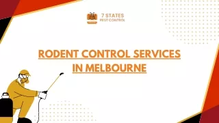 Rodent Control Services in Melbourne
