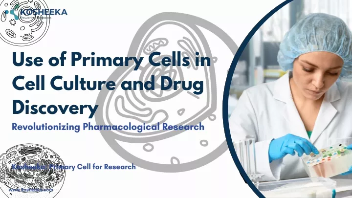 use of primary cells in cell culture and drug