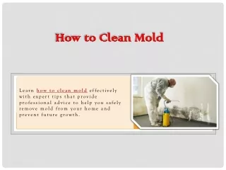 How to Clean Mold