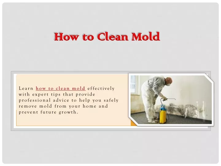 how to clean mold