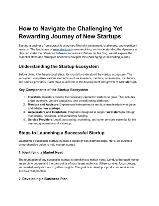 How to Navigate the Challenging Yet Rewarding Journey of New Startups