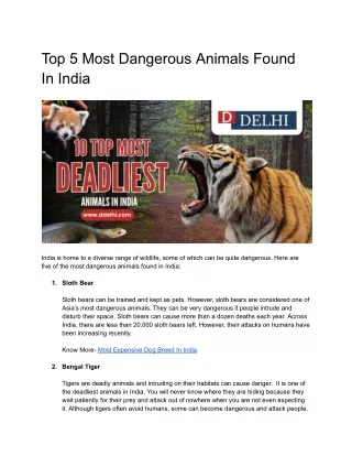 Top 5 Most Dangerous Animals Found In India