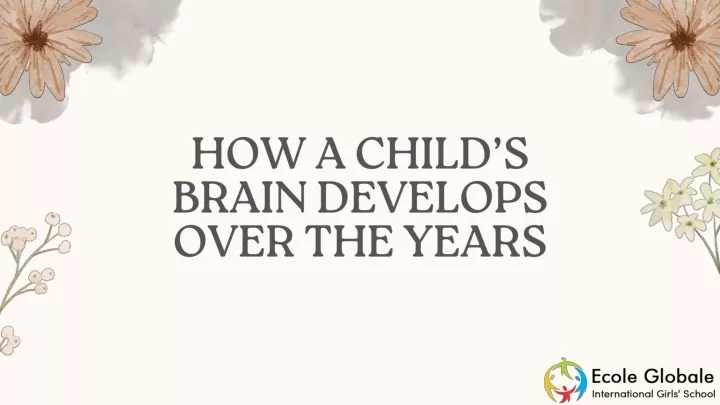 how a child s brain develops over the years