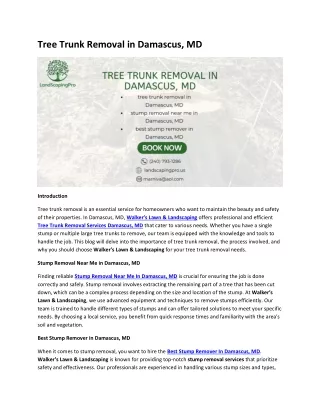 tree trunk removal in damascus md