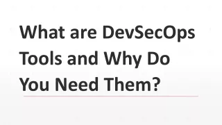 What are DevSecOps Tools and Why Do You Need Them