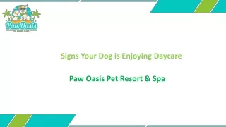 Signs Your Dog is Enjoying Daycare