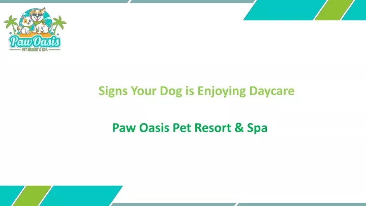 paw oasis pet resort spa