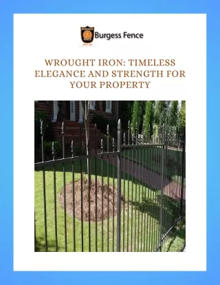 Wrought Iron Timeless Elegance and Strength for Your Property