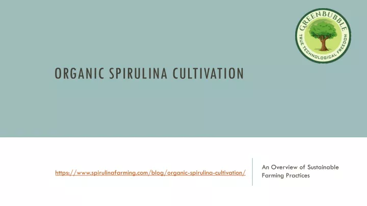 organic spirulina cultivation