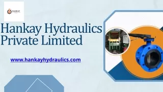 _Hankay Hydraulics PPT  PFA Valve Lining Machine, Rubber Moulding Press Supplier