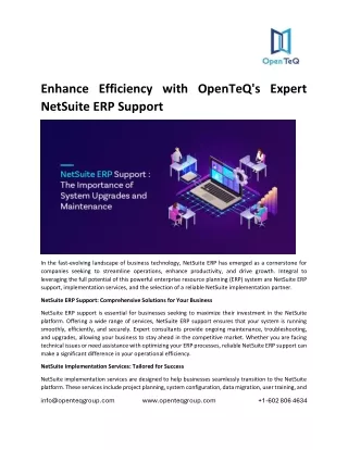 Enhance Efficiency with OpenTeQ's Expert NetSuite ERP Support