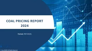 coal pricing report 2024