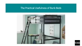 the practical usefulness of bunk beds