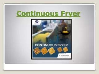 Continuous Fryer