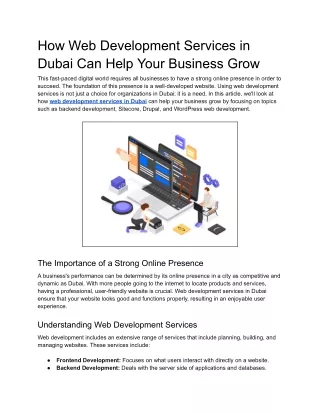 How Web Development Services in Dubai Can Help Your Business Grow