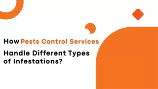 How Pests Control Services Handle Different Types of Infestations?