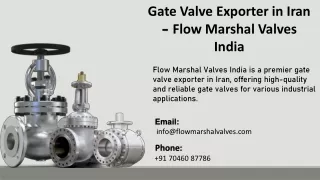 gate valve exporter in iran flow marshal valves