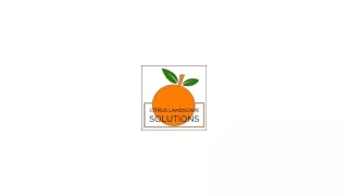 Landscape Design and Maintenance Experts for Residential and Commercial Propert